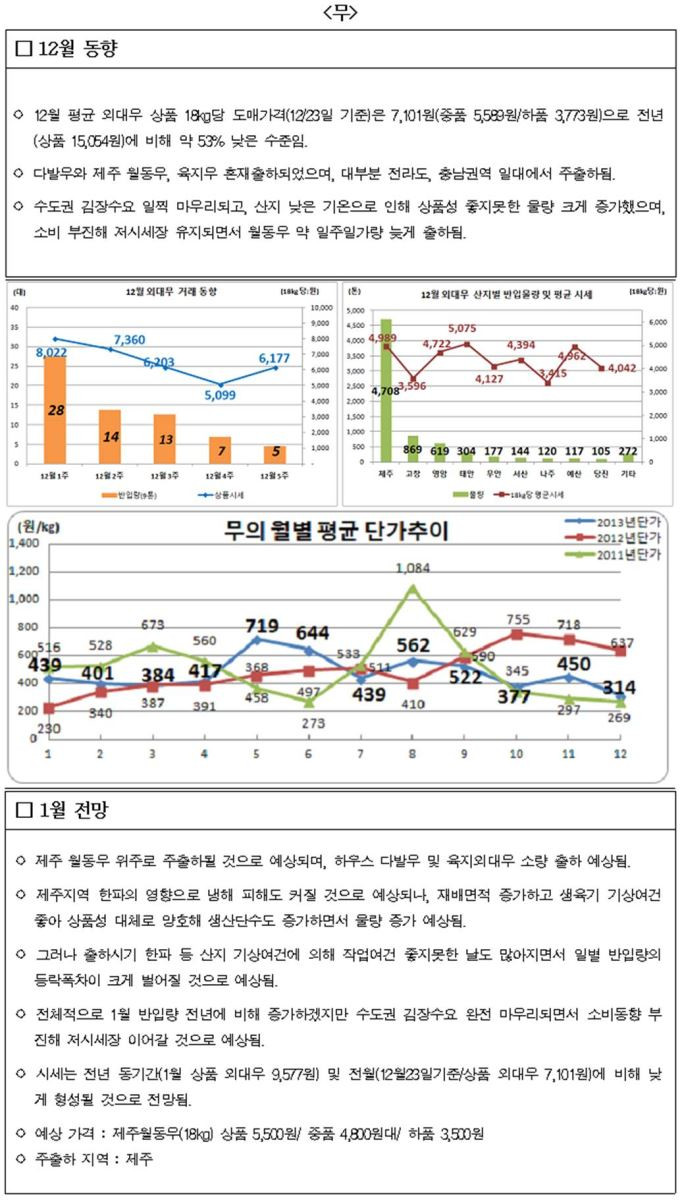 무 12월동향 및 1월전망.JPG