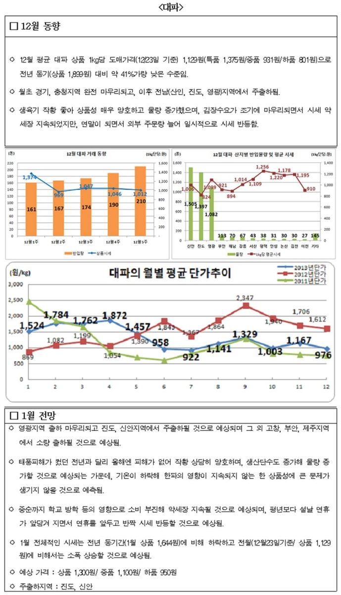 대파 12월동향 및 1월전망.JPG